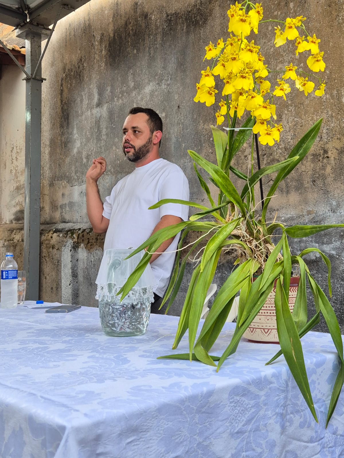 ESTUDO DO EVANGELHO COM JÚLIO CARVALHO 